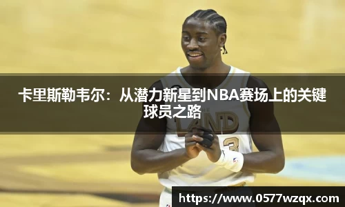 jn体育