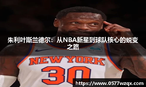 朱利叶斯兰德尔：从NBA新星到球队核心的蜕变之路